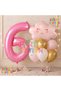 Pink Cloud Rainbow 6th Birthday Balloon Party Balloon Set