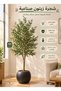 Artificial Olive Tree for Decoration 180cm High Dense Leaf Artificial Plant for Home and Office Decoration Indoor Decorative Green Plant Artificial Decorative Plant Tree with Elegant Design Long Natural Style Artificial Olive Tree