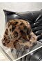 Soft Fur Leopard Print Hat - 4