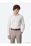 Mink Striped Regular Fit Long Woven Classic Shirt