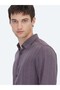 Plum Striped Regular Fit Long Woven Casual Shirt - 6