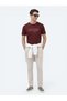 Burgundy Printed Crew Neck 100% Cotton T-Shirt - 3
