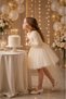 Baby Girl Dress Long Sleeve Rose Patterned Bow Elegant Special Occasion Evening Dress 0-5 Years - 4