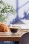 Roma 12-Piece Espresso Set
