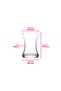 Zen Glass Tea Cup for 6 People 155 ml - 6
