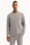 Men's Gray Crew Neck Soft Touch Printed Regular Fit Sweatshirt A52Y1334 - 5