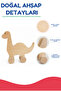 Wooden Dinosaur Toy Natural Handmade Paintable Educational Toy + 6-Piece Paint Set Gift - 4