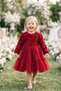 Baby Girl Red Long Sleeve 3D Rose Tulle Princess Evening Dress Birthday Wedding 9 Months-5 Years - 2