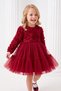 Baby Girl Red Long Sleeve 3D Rose Tulle Princess Evening Dress Birthday Wedding 9 Months-5 Years - 5