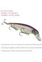 KVD Jerkbait 3 Hook - 4
