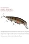 KVD Jerkbait 3 Hook - 4