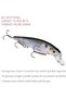 KVD Jerkbait 3 Hook - 4
