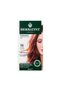 Natural Hair Dye / 21 Bilberry - 7