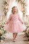 Baby Girl Kids Dress Long Sleeve Bowknot Rose Birthday Party Wedding Special Occasion Evening Dress Girls' Dress 1-5 Years - 2