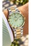 Silver Yellow Steel Strap-Green Dial-Men's Wristwatch in Stylish Box - 3