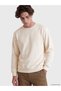 Timeless Clothing & Timeless Choices Zero Roba Collar Men's Thick Sweatshirt