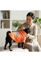 Turtleneck Orange Sweater for Cat and Dog - 2