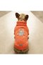 Turtleneck Orange Sweater for Cat and Dog - 5