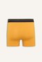 Regular Fit Teddy Bear Elastic Waistband 2-Piece Boxer I7809Ax26Au - 3