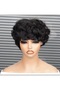 Black Curly Hair Wig