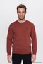 Burgundy Men's Sweatshirt Gw2520255