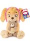 PAW Patrol Skye Hugging Kai Plush, 9.5 Inches