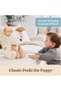Baby Peek-a-Boo Peeki the Puppy Handheld Plush, 7 Inches - 8