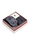 Gray Tie Handkerchief and Lapel Badge Set of 3 - 3