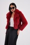 Collared Crop Boy Jacket - 2