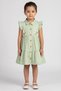 Toddlers Girl Embroidered Dress, Sage Green