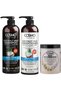Cosmo Hair Care Moisturizing Coconut Milk Hair Treatment Set Pack Of 3 | Shampoo, Conditioner & Hot Garlic Oil Treatment Cream | Sulfates & Parabens Free | Reduces Season Dryness | For All Hairs Types