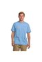Men's Blue Twin Peaks Regular Ss Tshirt