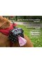 Sp Brave Paws Shiny Black Heart Dog Bag Carrying Bag Compatible with Leash