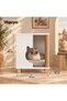 KEDİ CLASS KOMİDİN EVİ - 3