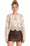 Stone Women's Crew Neck Lace Knit Seasonal Perforated Knitwear Blouse