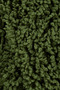 Teddy Hand Knitting Yarn Blanket Yarn Sweater Yarn Cardigan Yarn Scarf Yarn Beanie Yarn Knitting Yarn Green - 2