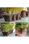 50 Pcs 3.15" Biodegradable Seed Starter Peat Cookwares with Tags and Tools,Natural Garden Seedling Cookwares for Vegetables and Flowers - 5