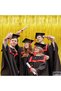 4 Pcs Gold Tinsel Foil Fringe Backdrop Curtains,3.2 x 6.56 FT,Golden Metallic Streamers for Birthday and Party - 2