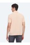 Pink Plain 100% Cotton T-Shirt - 5