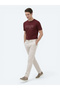 Burgundy Printed Crew Neck 100% Cotton T-Shirt - 2