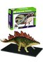 Dinosaur Anatomy Model 39Pcs.Stegosaurus - 2
