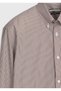 Brown Striped Regular Fit Long Woven Classic 100% Cotton Shirt - 8