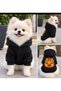 Cat Dog Outfit Pumpkin Print Sweatshirt