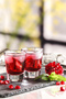 Chill Glass Liquor Glass for 6 People 45 ml (Shot/Shot Glass) - 2
