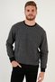 Slim Fit Crew Neck Cotton Soft Textured Non-Pilling Sweater Men's Sweater 4562013W4 - 4