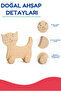 Wooden Fox Toy Natural Handmade Paintable Educational Toy + 6-Piece Paint Set Gift - 4