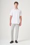 White Hard Collar Short Sleeve Comfort Fit Cotton Shirt 1004260906 - 2