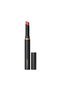 Powder Kiss Dubonnet Buzz 2 g – Silky Textured and Soft Matte Finish Lipstick - 2