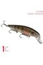 KVD Jerkbait 3 Hook - 3