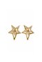 Zircon Stone Star Model Earrings